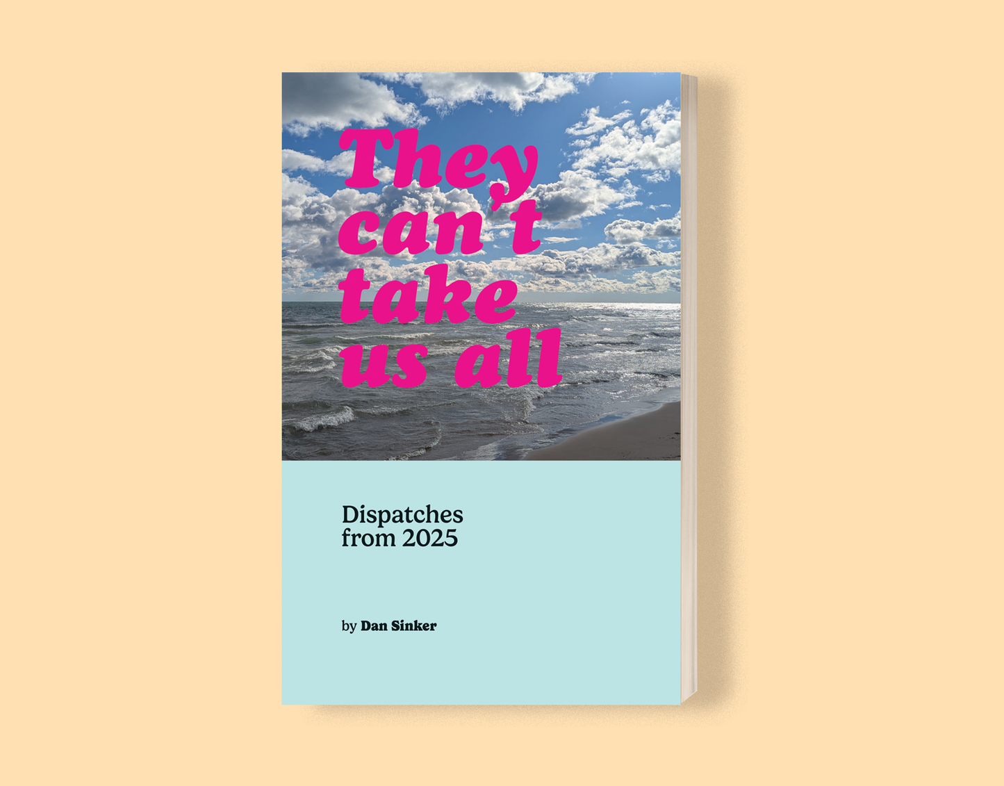 They Can't Take Us All - zine preorder